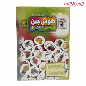 بازی آموزشی هوش چین 2 تکه